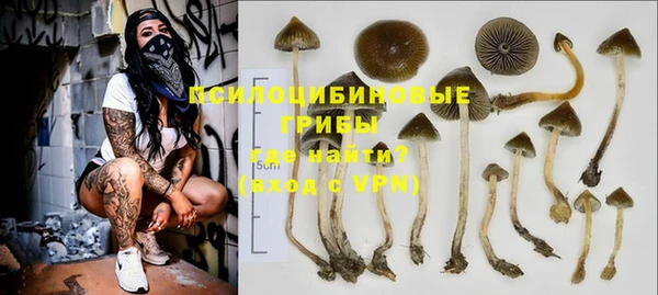 спайс Алзамай